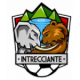 Intrecciante